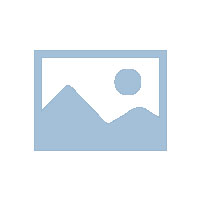 司機(jī)端常見問題解答（FAQ）